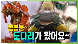 [6시 내고향] [수요일엔 수산물] 봄의 전령사! 도다리가 올라온다~! (ft.덕순이 이름 탄생 스토리) | KBS 210224 방송