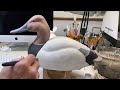 drake canvasback gunner session 7 painting