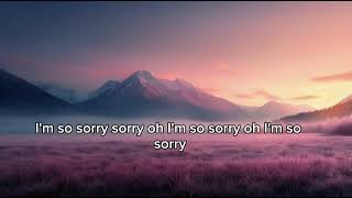 Chris Brown ft. SZA - I'm so sorry lyrics