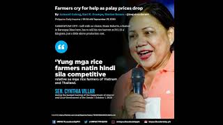 #cynthia #villar #rice #bigas #bbm #farmer #poor #hunger