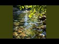 Dappled Light on Water（水面の木漏れ日）