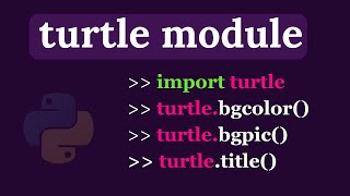 Python Turtle Graphics - bgcolor() | title() | bgpic()