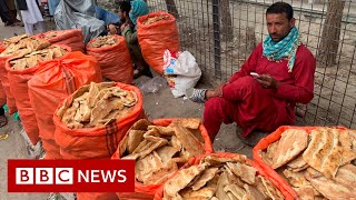 Scraps of stale bread ‘keeping Afghans alive’ - BBC News