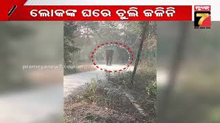 ପୁରୀ ଚନ୍ଦନପୁରରେ ହାତୀ ଆତଙ୍କ, ଭୟରେ କୃଷ୍ଣ ରଞ୍ଜନପୁର ଗ୍ରାମବାସୀ