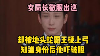 女局長微服出巡，卻被地頭蛇霸王硬上弓，知道身份後他嚇破膽 | 江湖李白 | X調查 | wayne調查 | 情感 | 情感故事 | 家庭倫理 |婚姻 #大案紀實 #刑事案件 #案件解說