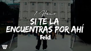 [1 Hour] Feid - Si Te La Encuentras Por Ahí (Letra/Lyrics) Loop 1 Hour