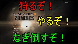 【BO2ゾンビ】土日の長時間皆様方お疲れ様！それでも俺はライブする！！ｗ