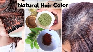 (Henna \u0026 Coffee) Hair Dye For Gray Hair to Black Hair ! Hair color at home naturally