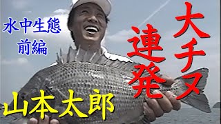 【前編】大チヌ連発／山本太郎／水中映像満載／アタリから取り込みまで Underwater ecology of black seabream.