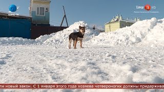 28.01.2020 Сахалинская неделя