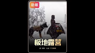 一人一狗沉浸式极地露营#户外露营 #一个人的露营时光 #雪中露营