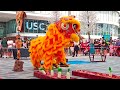 kim ying dragon u0026 lion dance 雪兰莪安邦金英龙狮体育会