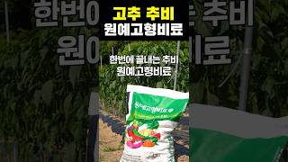 한번에 끝내는 고추 추비 원예고형비료