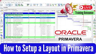 How to Setup a Layout for Client in Primavera