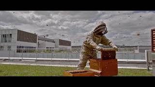 Animation apiculture au groupe Rocher à Issy-les-Moulineaux (92)