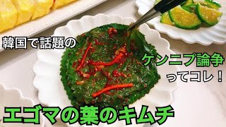 【韓国料理】韓国で話題の“ケンニプ論争”とはこのメニューです　エゴマの葉のキムチ(ケンニプキムチ)の作り方