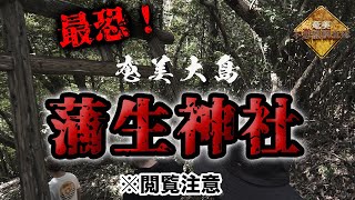 【閲覧注意】奄美大島の最恐心霊スポット「蒲生神社」で大変なことに（都市伝説YouTuberマットショーとコラボ）