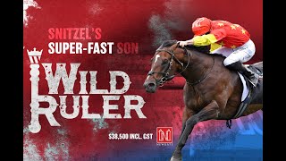 Wild Ruler - Snitzel's Super-Fast Son