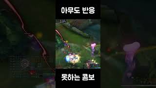 미드에코 아무도 반응 못하는 1초 콤보