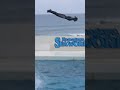 超キレッキレなララのスカイロケット shorts 鴨川シーワールド シャチ kamogawaseaworld orca killerwhale