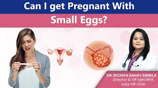 Can I get Pregnant With Small Eggs? Dr Richika Sahay Shukla