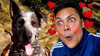 MEET MY NEW PUPPY BOOMER ^_^ !!! (Far Cry 5 Gameplay)