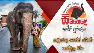 Travel With Elephant | Kaduwela Kandula Vira | සාජන් මේජර් කණ්ඩුල වීරා | Vlog 05