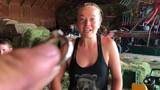 Metal detecting for a ring in a haystack!