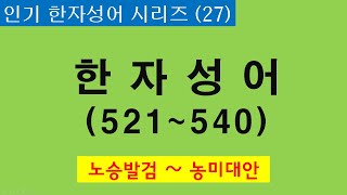 인기 한자성어 시리즈  27편(노승발검~농미대안)