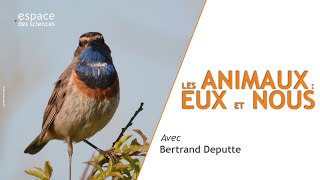 🐦 Les animaux : eux et nous