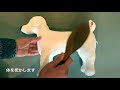 ピンブラシの使い方［one for dog の飼い主さんが学ぶお手入れ教室］