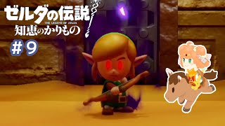 【完全初見】本物のリンクを返してください！『ゼルダの伝説　知恵のかりもの』Part9【ネタバレあり】