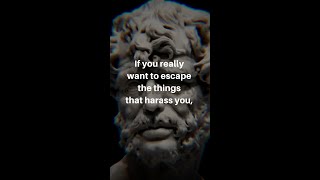 ESCAPE THE THINGS THAT HARASS YOU - Stoic quotes - Seneca #Shorts