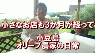 小豆島のオリーブ農家の日常／雨の日のひとりごと／小さなお店も3か月／個人農家の6次産業化のメリットなど