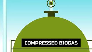 Compressed Biogas Plant Process | SPS BIO-CHEM | The Future Of Energy