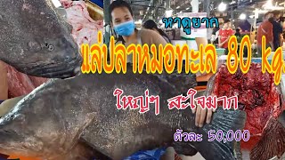 Amazing แล่ปลาหมอทะเลยักษ์ 80 kg. นานๆมีที ใหญ่ๆสะใจมาก | skills cutting fish seafood markets