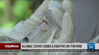 Global COVID-19 cases and deaths on the rise