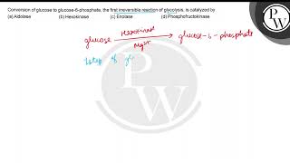 Conversion of glucose to glucose-6-phosphate, the first irreversibl...