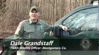 Deer Behavior