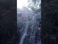 കൊളപ്പ വെള്ളച്ചാട്ടം പെരുവ കണ്ണവം കാട് peruva waterfalls close up