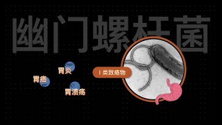 幽门螺杆菌 H. Pylori ，如何导致胃炎、胃溃疡、甚至胃癌，该怎么除菌？