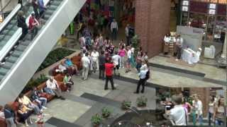 2012.05.26 Eljegyzés - WestEnd - Flashmob Proposal Hungary