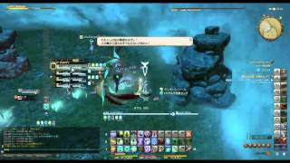 【FF14】白4構成で弱ガルーダ白盾視点