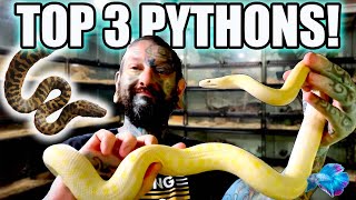 The Top 3 BEST Australian Beginner Snakes!