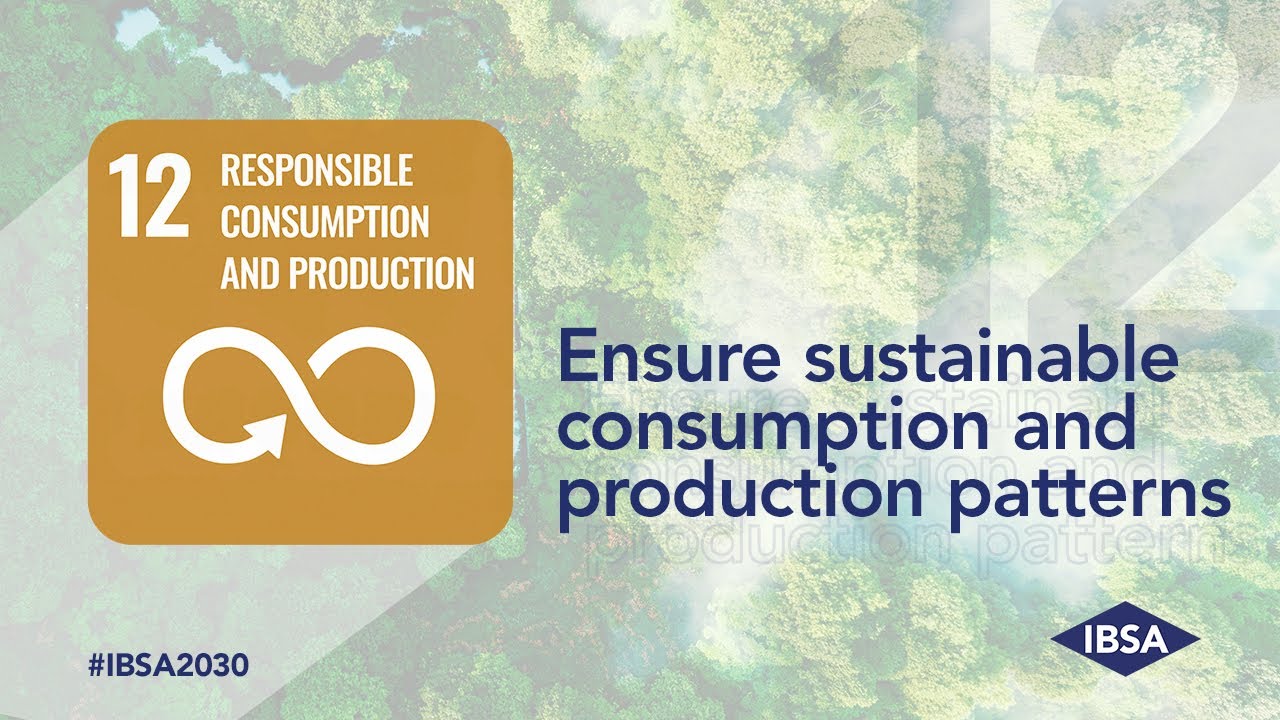 #IBSA2030. SDG 12 – Responsible Production And Consumption (ENG) - YouTube