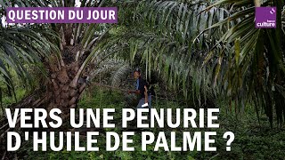 Que peut entraîner la suspension des exportations d’huile de palme par l’Indonésie ?