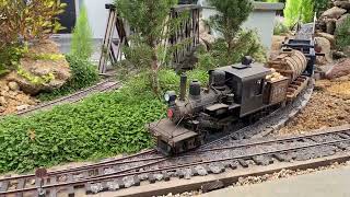 Durango and Jasper Garden Railroad - 2023 NGRC Preview