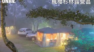 UNRV.營區分享-楓櫻杉林