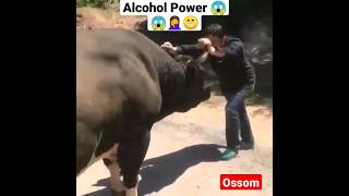 Alcohol Power 😱 | Rare Unbelievable End 🙏😁 |#viral #shorts #bull