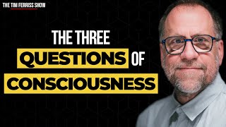 The Three Questions of Consciousness | John Vervaeke | The Tim Ferriss Show